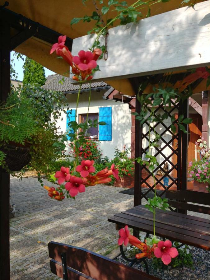 Pokoje Goscinne Aga Widuchowa Exterior foto